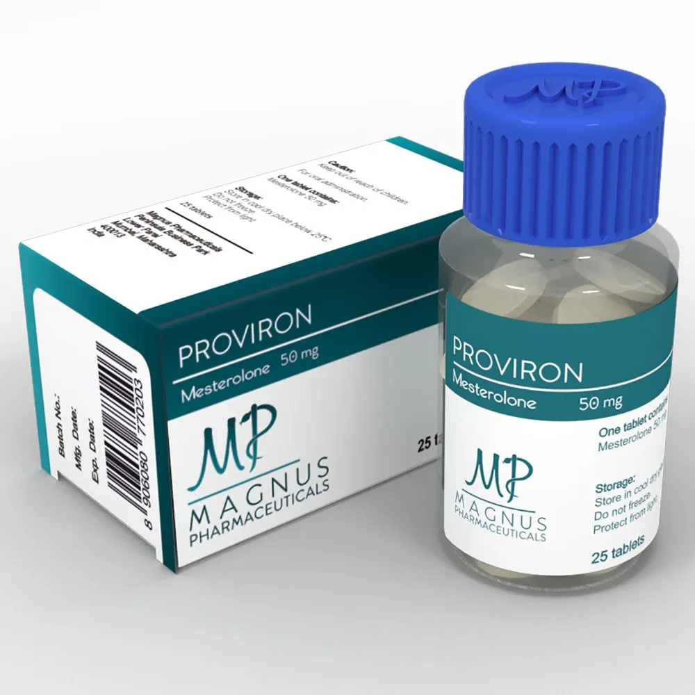 №6 Gain Mass Course – Magnus image 4
