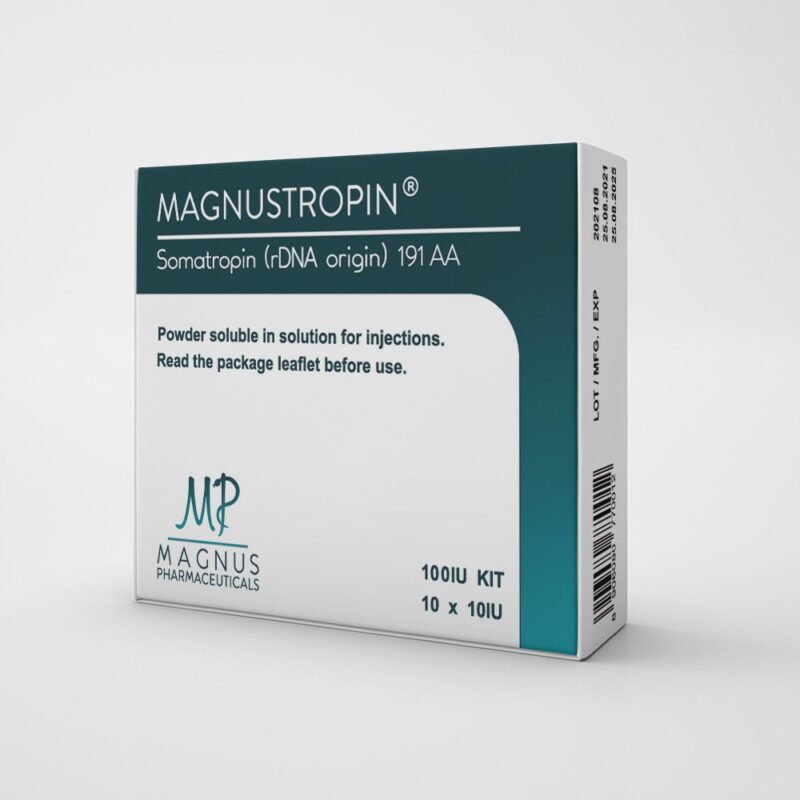 №1 Gain Mass Course – Magnus image 3